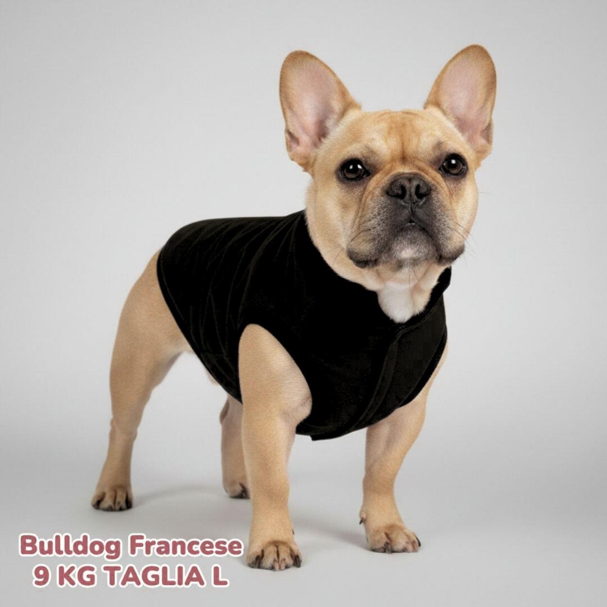 Cappottino Invernale Impermeabile Nero