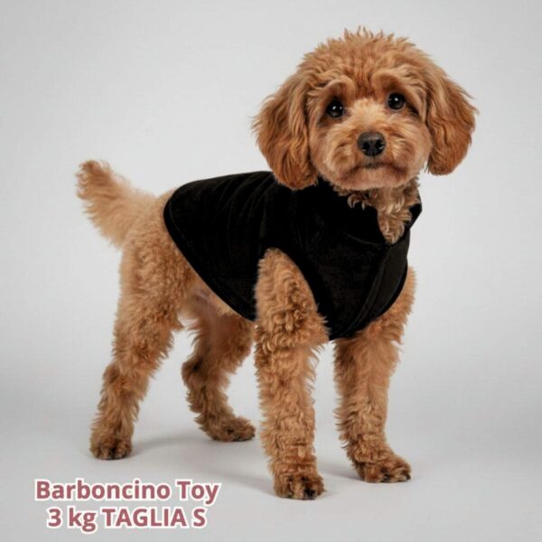 Cappottino Invernale Impermeabile Nero Cappottino Invernale Impermeabile Nero