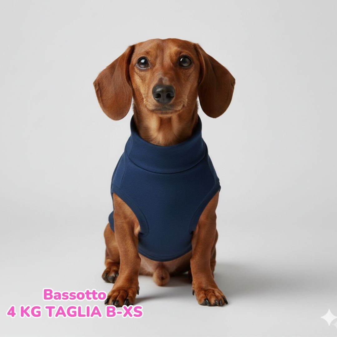 Felpa Invernale Garzata Blu Scuro