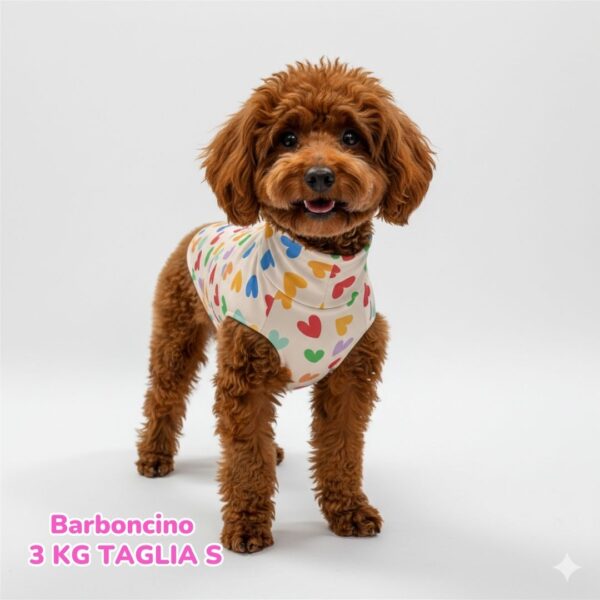 abbigliamento per cani (1)