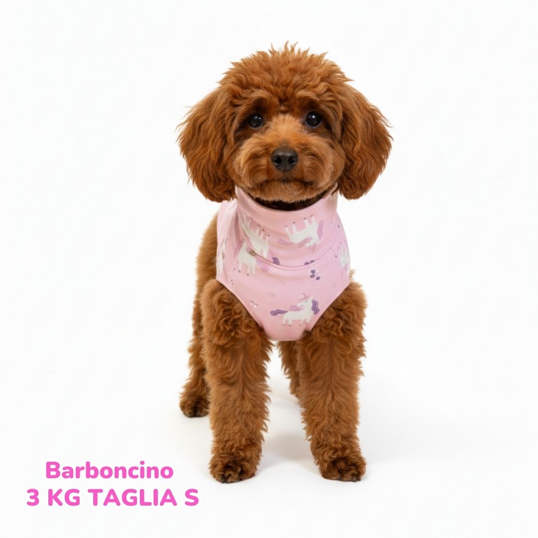 Impermeabile Unicorni