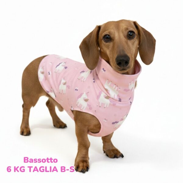 abbigliamento per cani (20)