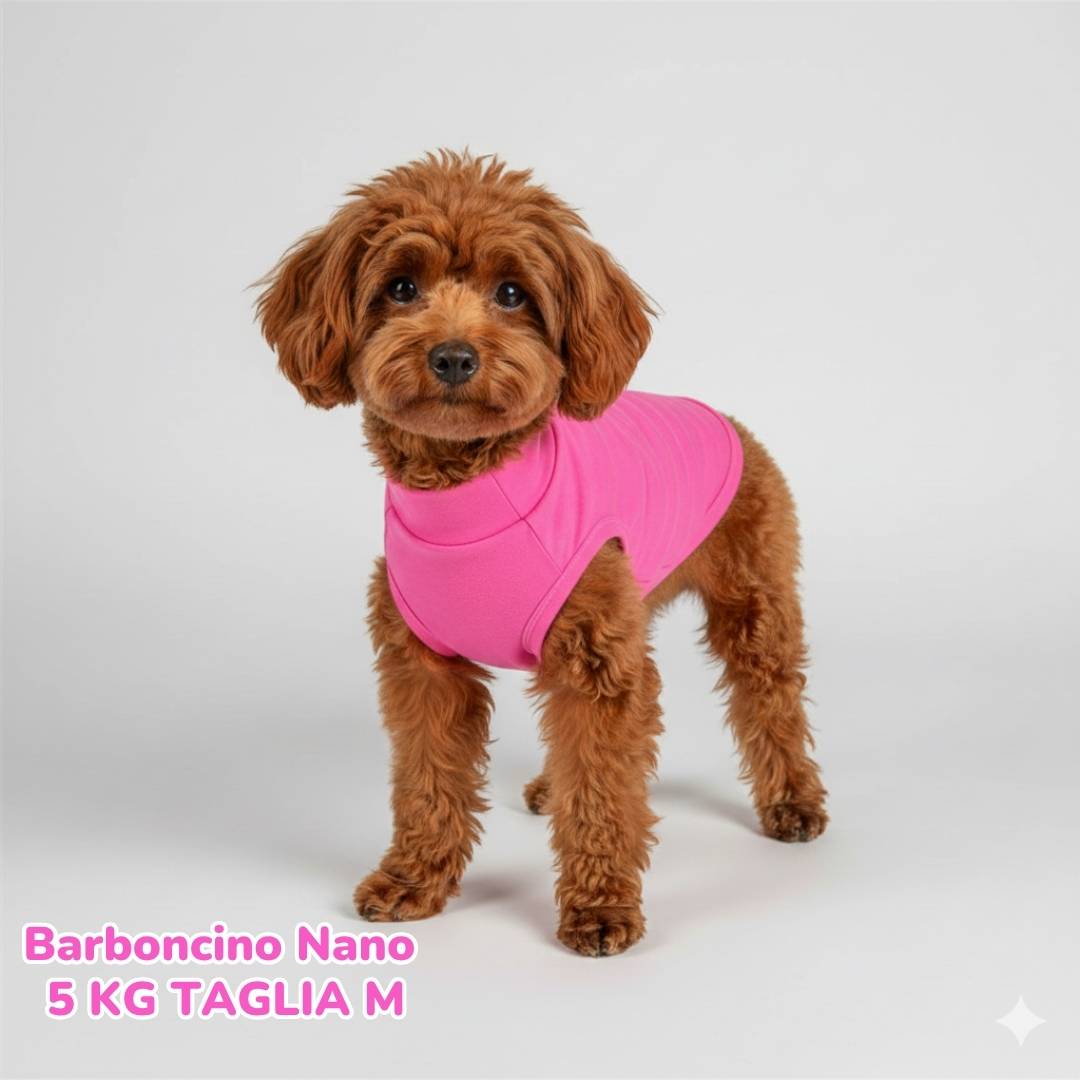 Felpa Cotone Primavera Fucsia