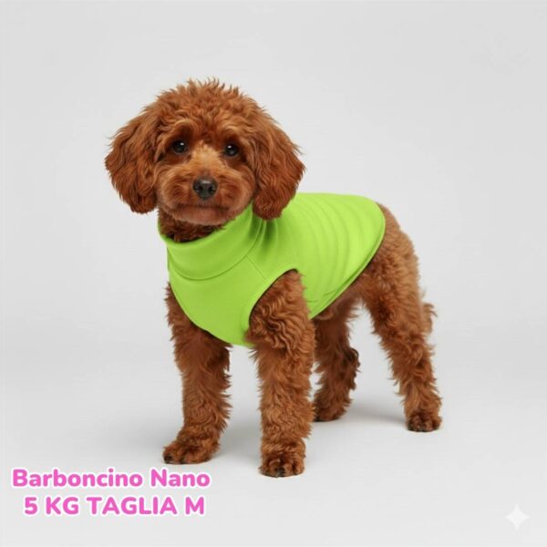 Felpa Cotone Primavera Verde Lime