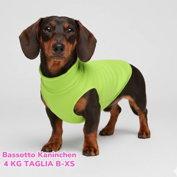 Felpa Cotone Primavera Verde Lime