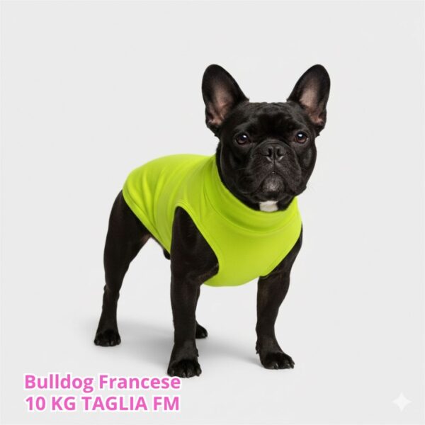 Felpa Cotone Primavera Verde Lime