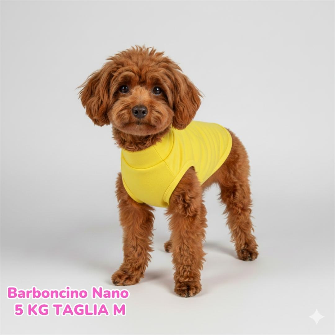 Felpa Cotone Primavera Gialla