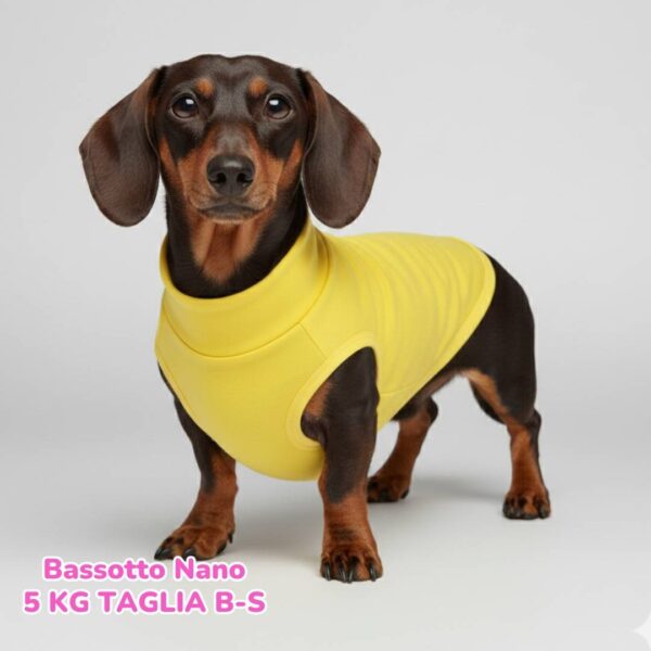 Felpa Cotone Primavera Gialla