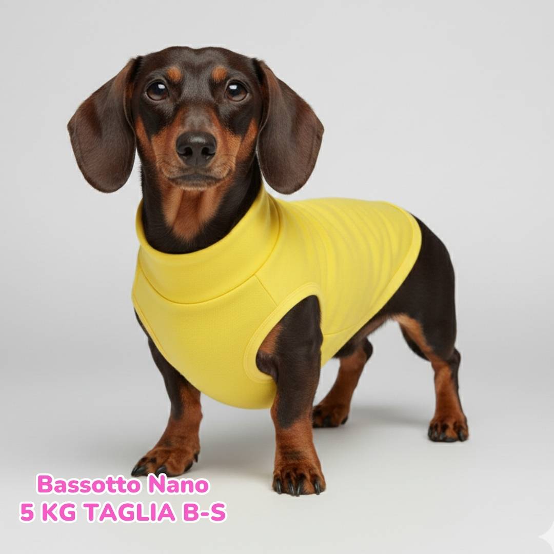 Felpa Cotone Primavera Gialla