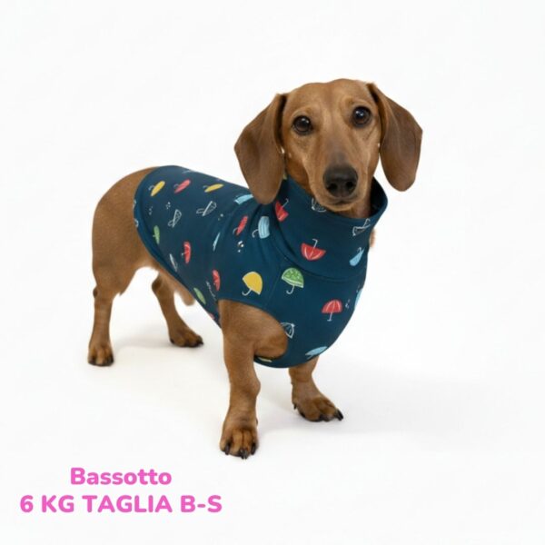 abbigliamento per cani (22)