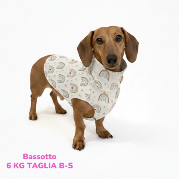 abbigliamento per cani (23)