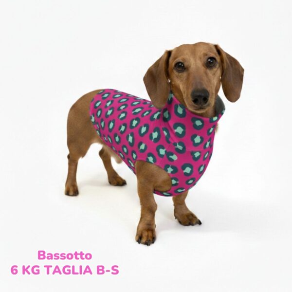 abbigliamento per cani (24)