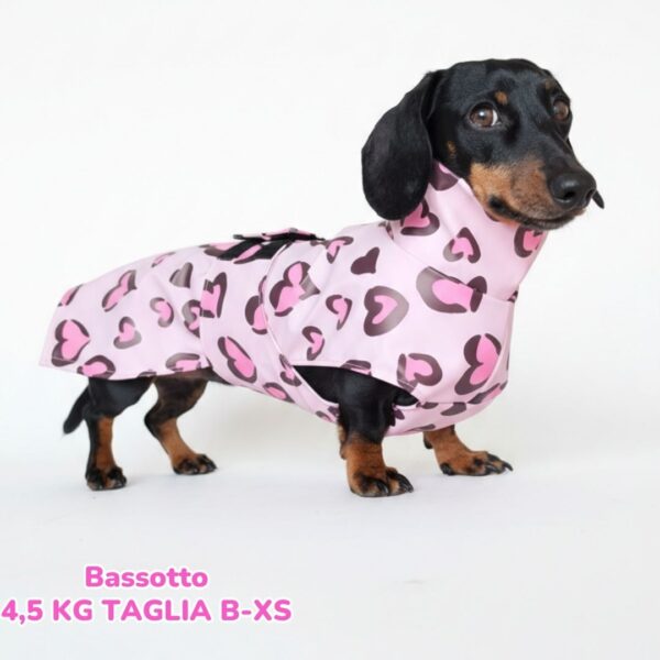 abbigliamento per cani (25)