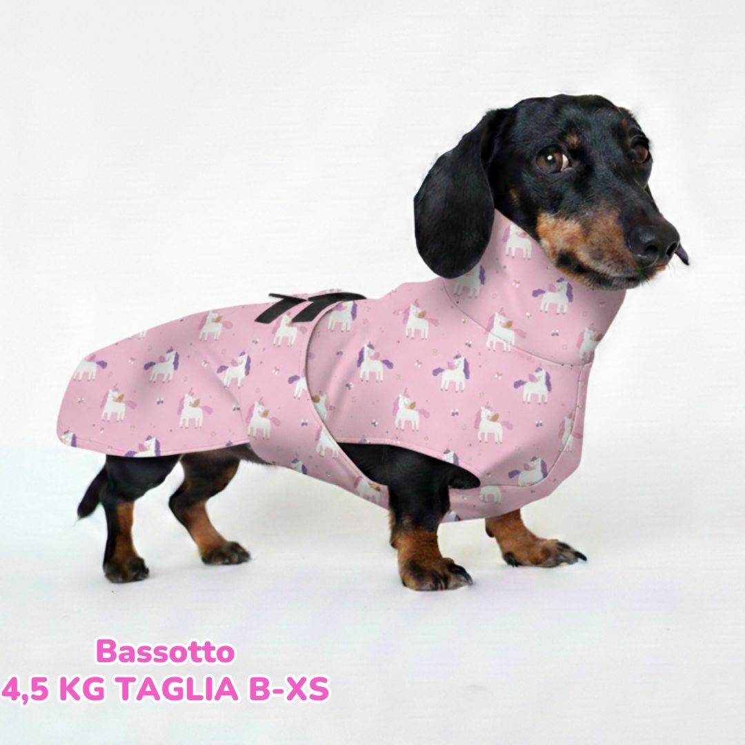 abbigliamento per cani (26)