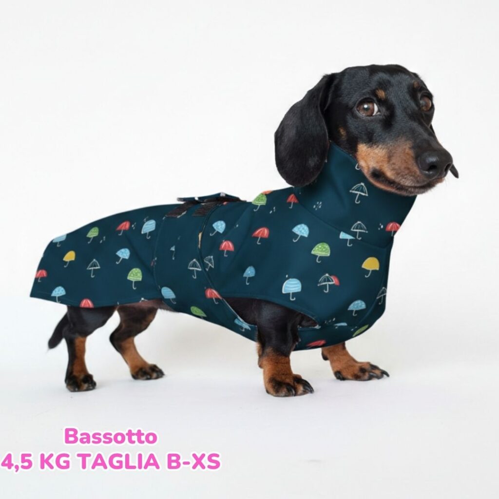 abbigliamento per cani (28)
