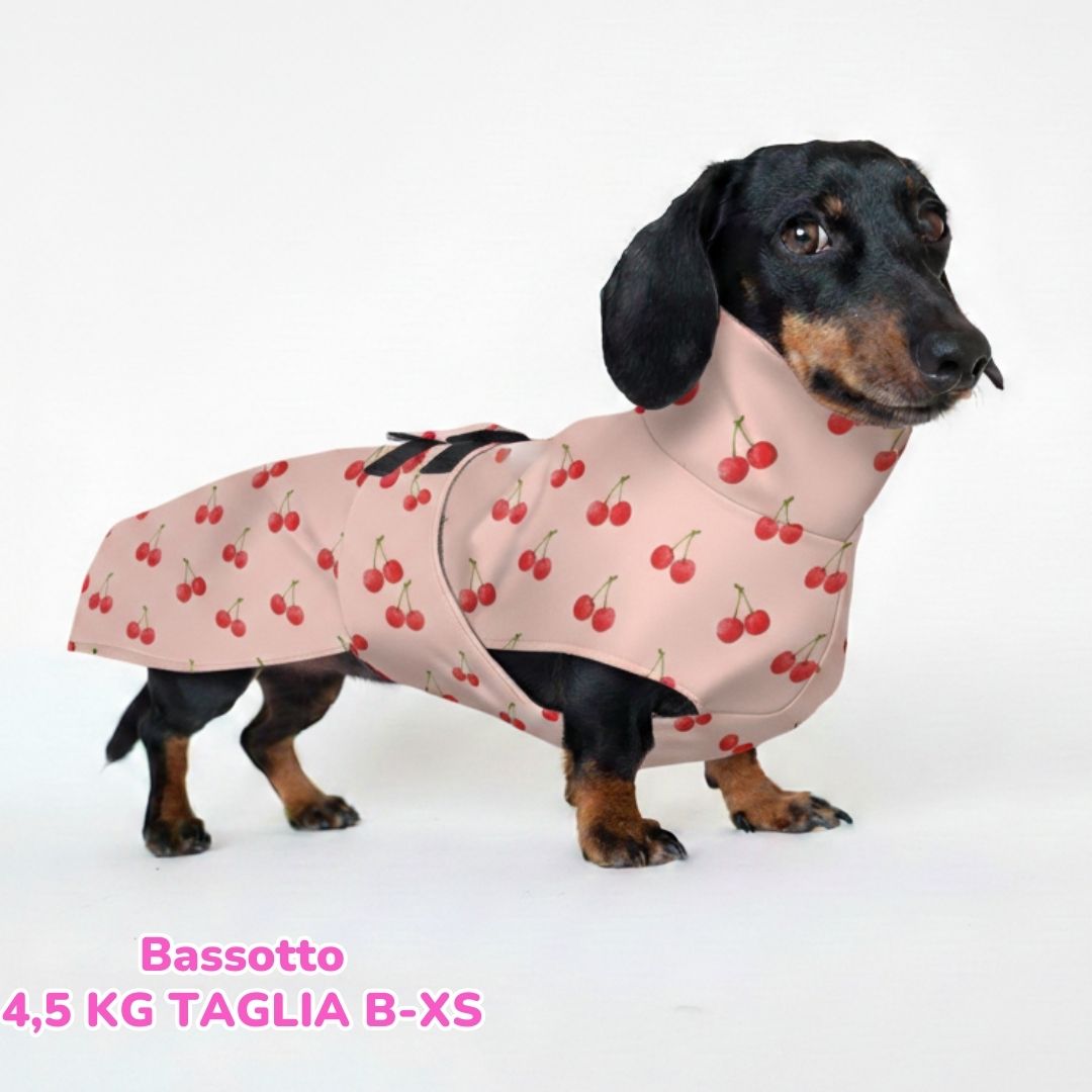 abbigliamento per cani (29)