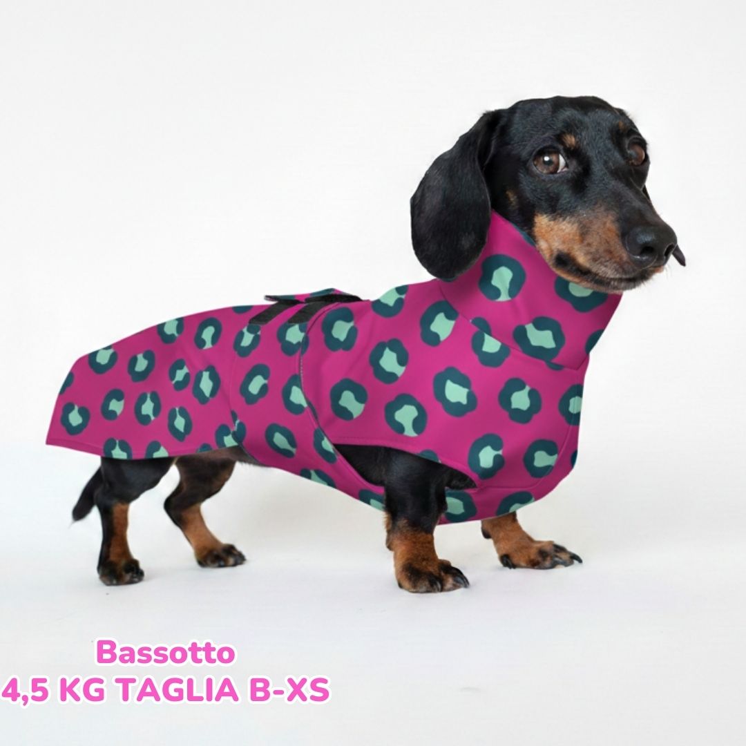 abbigliamento per cani (30)