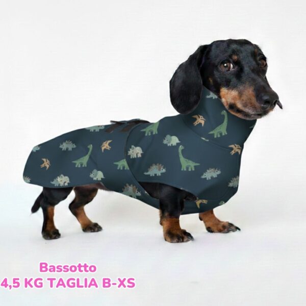 abbigliamento per cani (32)