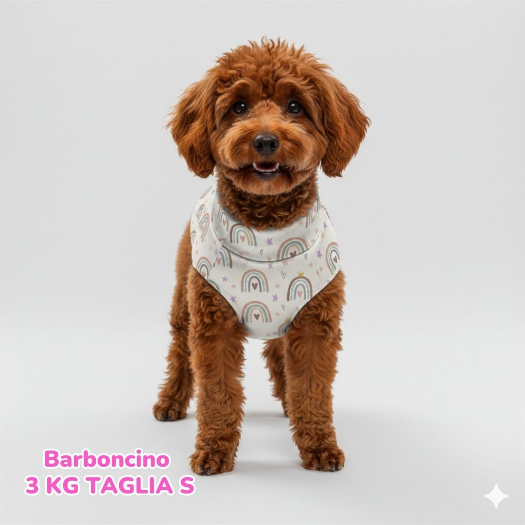 Impermeabile Rainbow