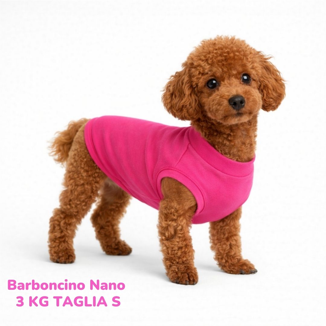 Felpa Cotone Primavera Fucsia