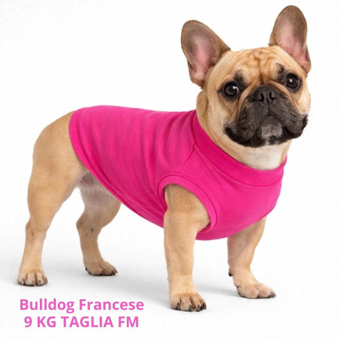 Felpa Cotone Primavera Fucsia