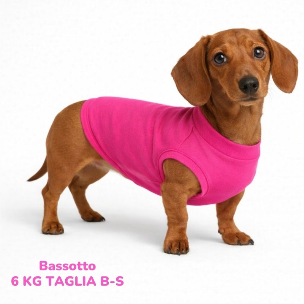 abbigliamento per cani (86)