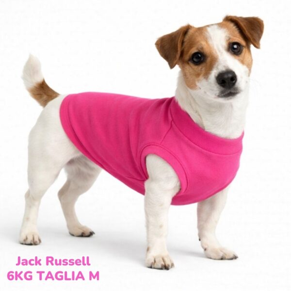 Felpa Cotone Primavera Fucsia