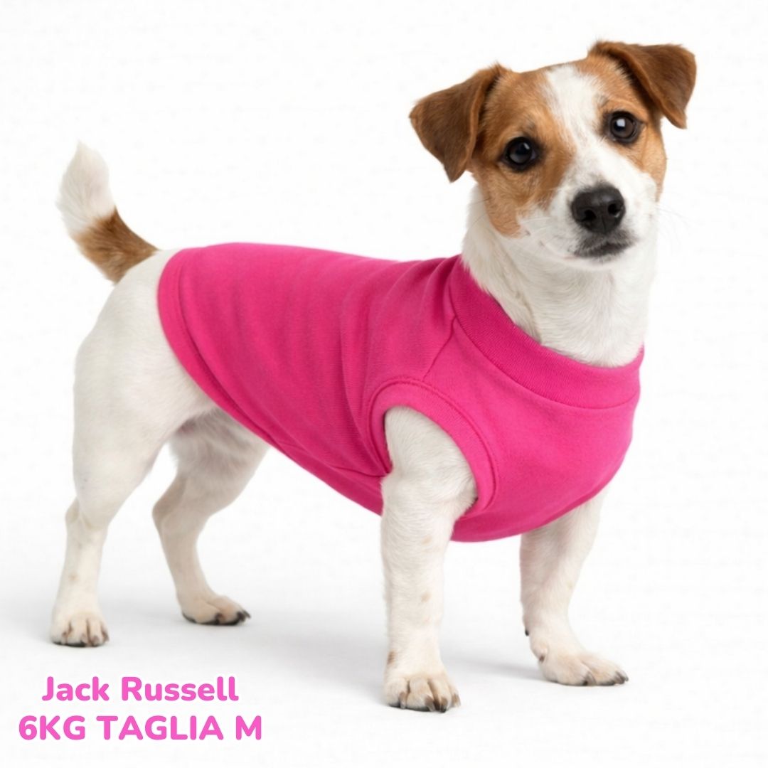 Felpa Cotone Primavera Fucsia