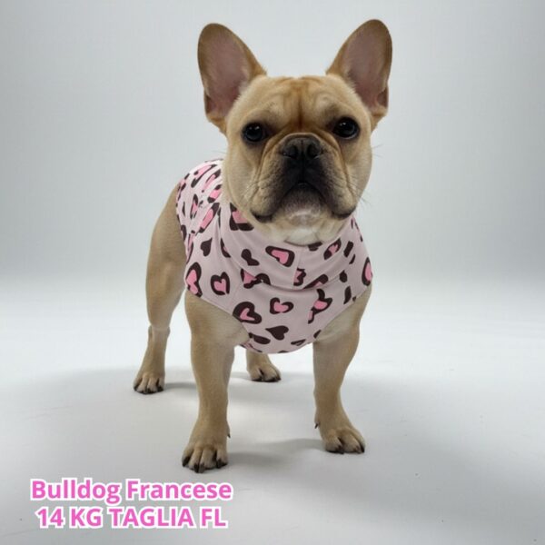 abbigliamento per cani (9)