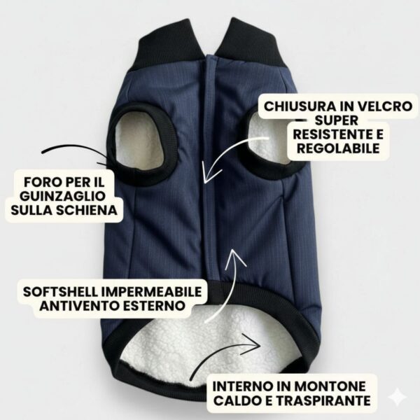 cappottino blue jeans