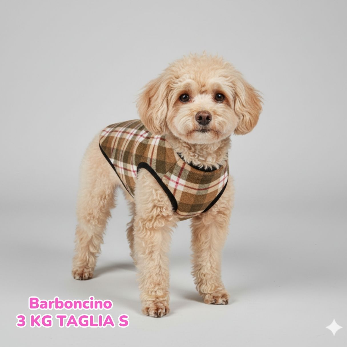 Pile Pelliccia Scozzese Beige