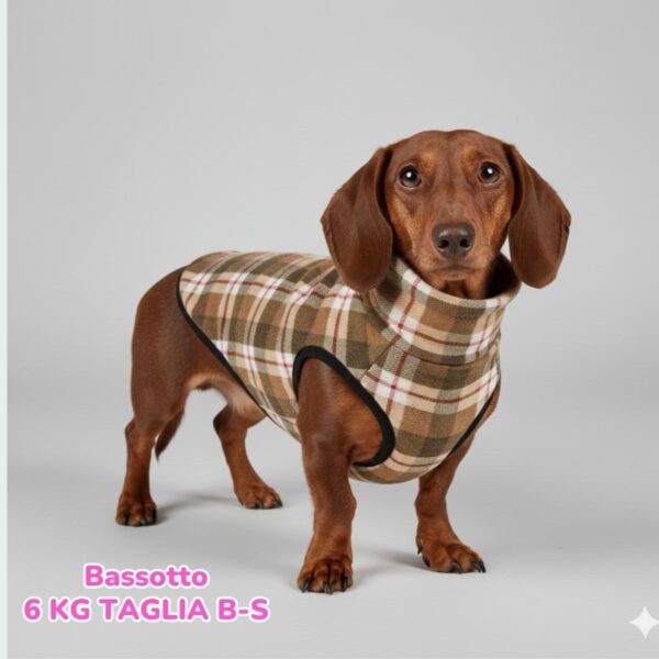 dorotea – 2026-01-01T190209.206