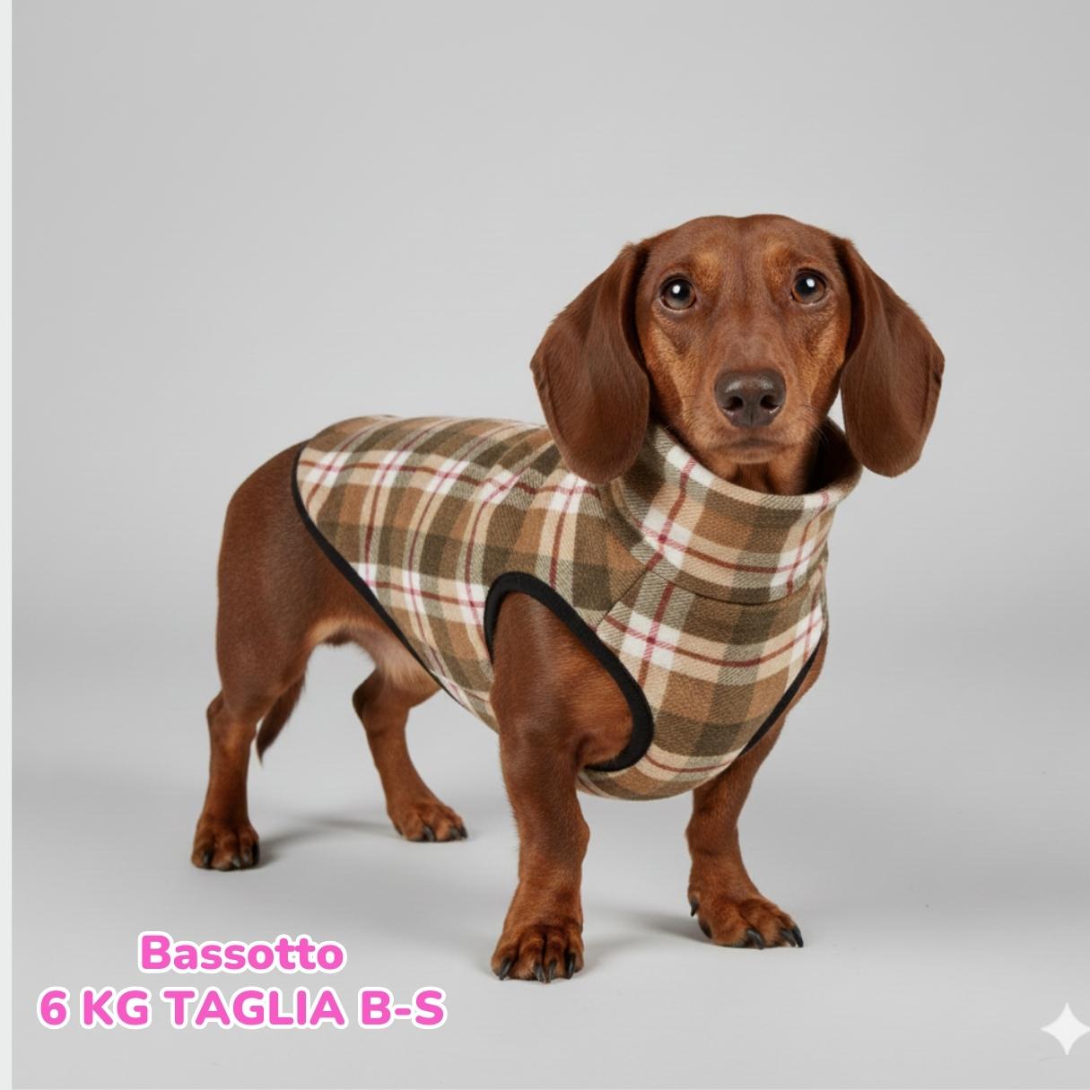 dorotea – 2026-01-01T190209.206