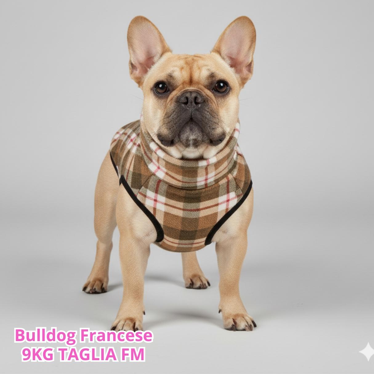 Pile Pelliccia Scozzese Beige