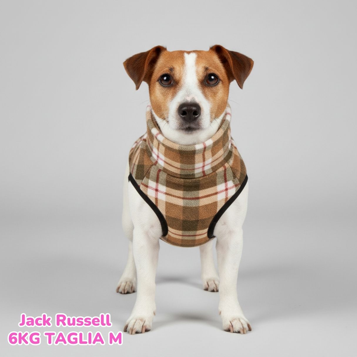 Pile Pelliccia Scozzese Beige