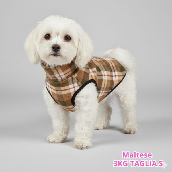 Pile Pelliccia Scozzese Beige Pile Pelliccia Scozzese Beige