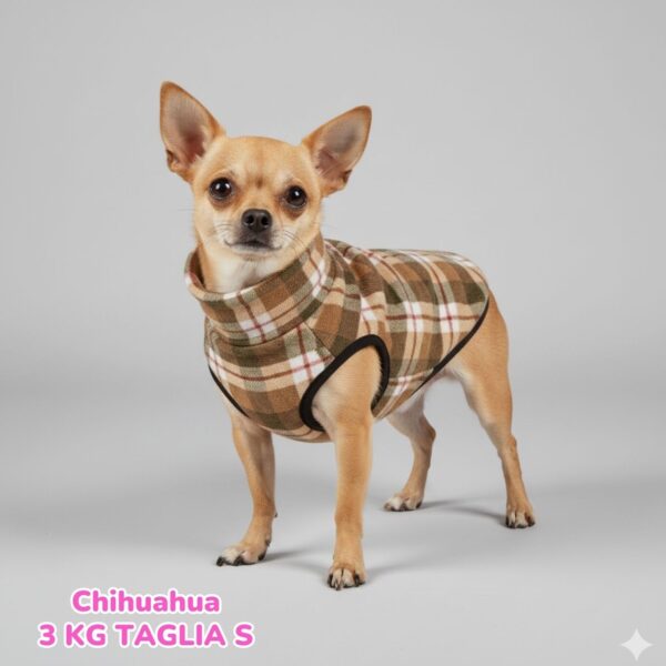 Pile Pelliccia Scozzese Beige Pile Pelliccia Scozzese Beige