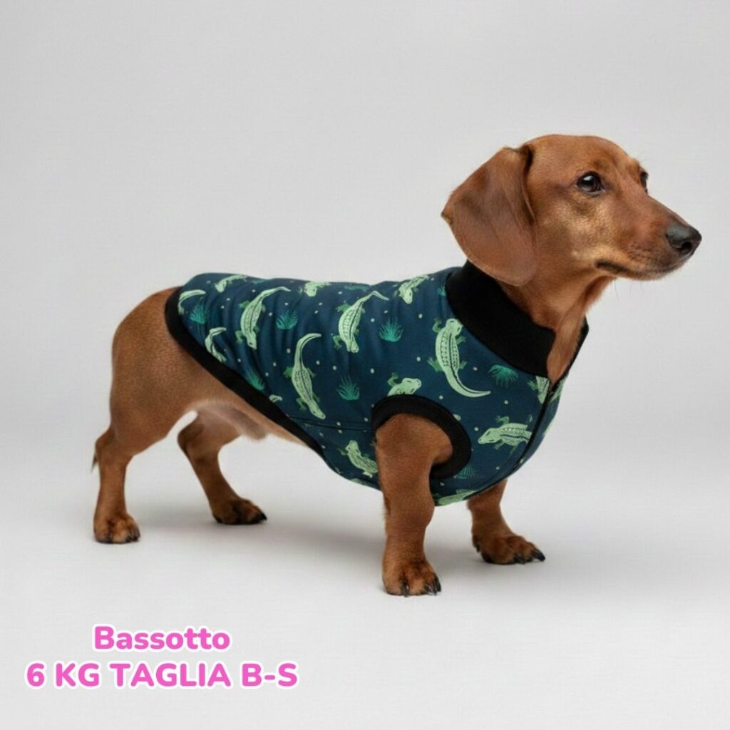 dorotea – 2026-01-15T192316.748