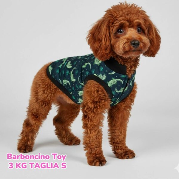 Cappottino Invernale Impermeabile Hearts