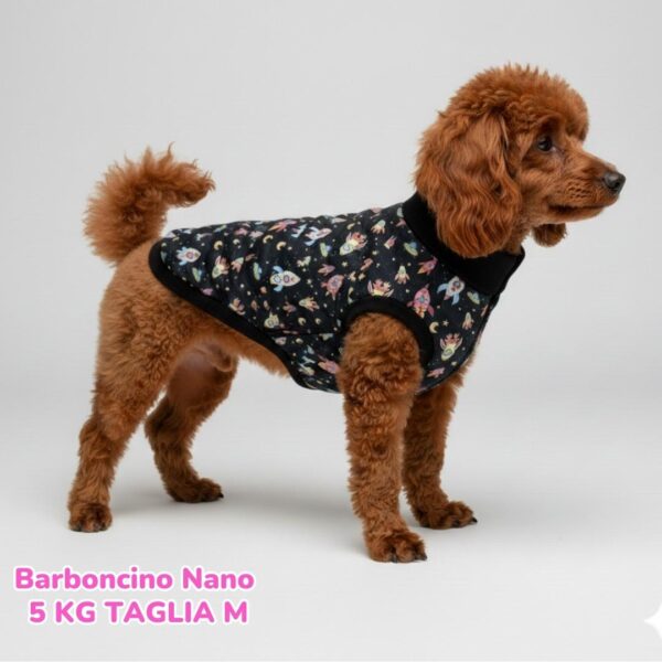 dorotea – 2026-01-15T192618.304