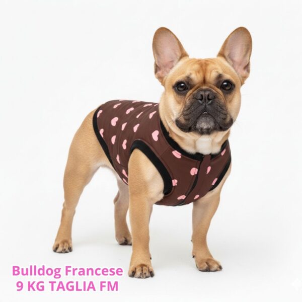 Cappottino Invernale Impermeabile Hearts