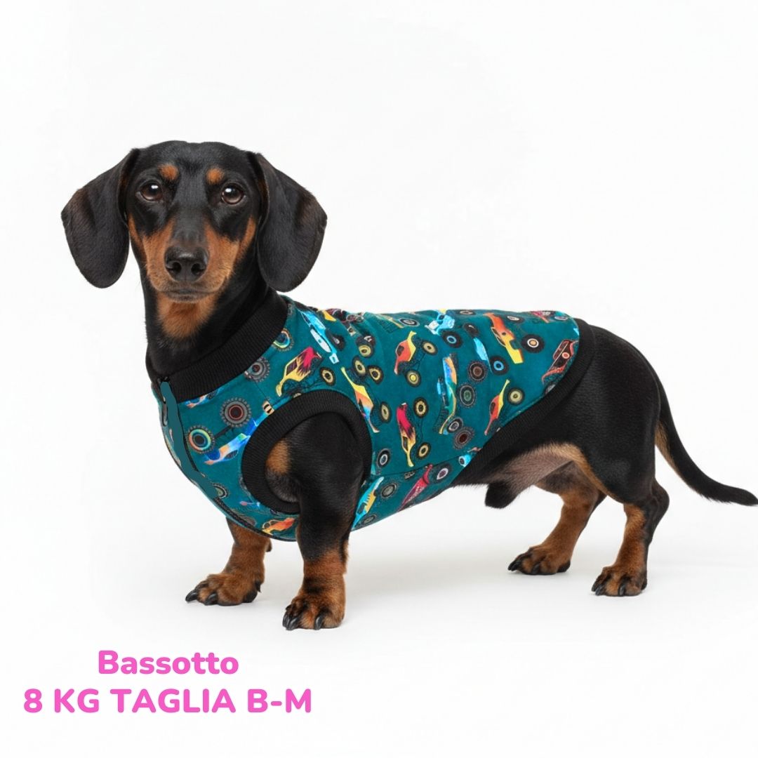 Cappottino Invernale Impermeabile Monster Truck