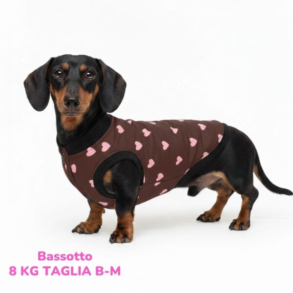 Cappottino Invernale Impermeabile Hearts