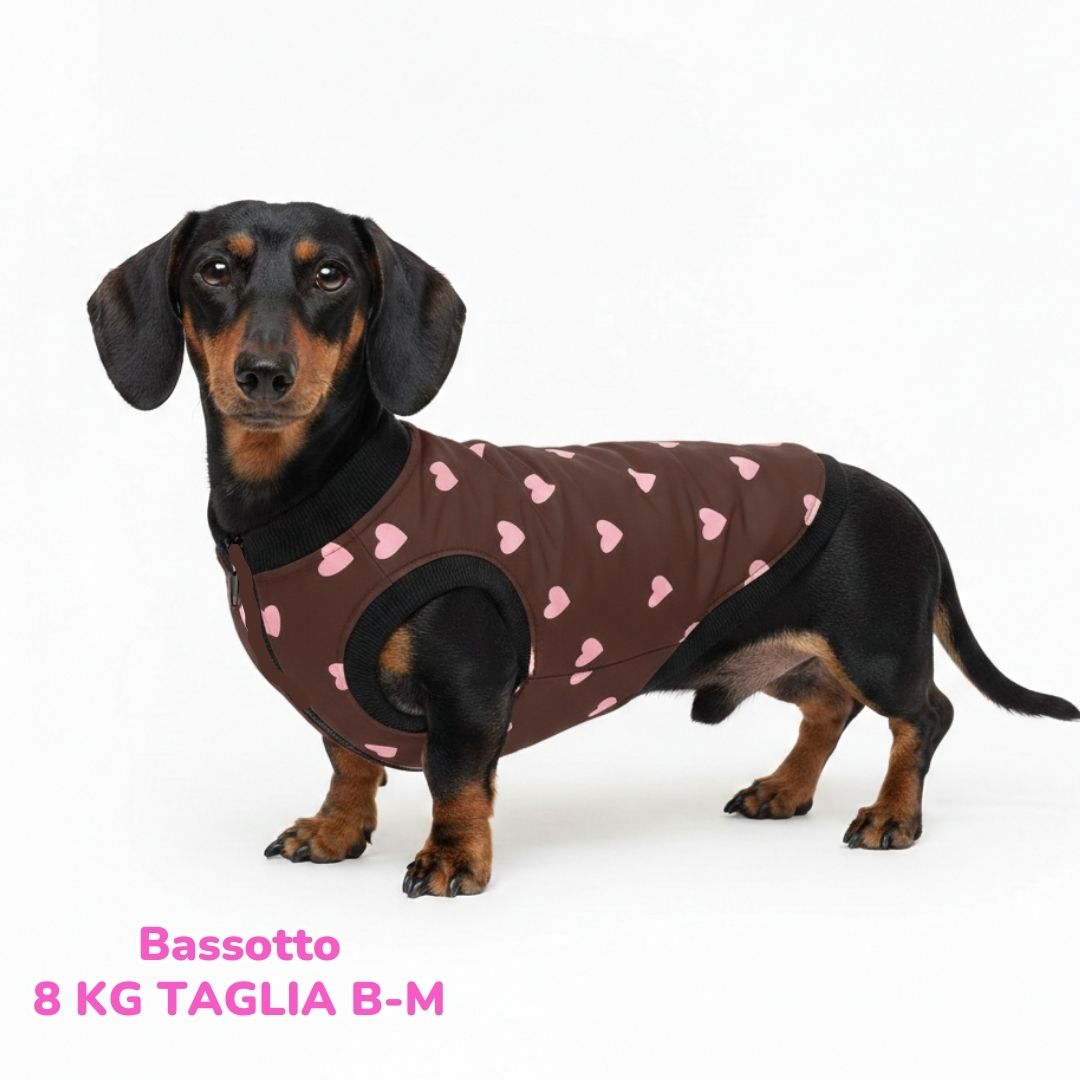 Cappottino Invernale Impermeabile Hearts