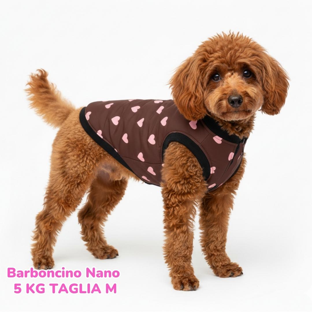 dorotea – 2026-01-15T194351.980