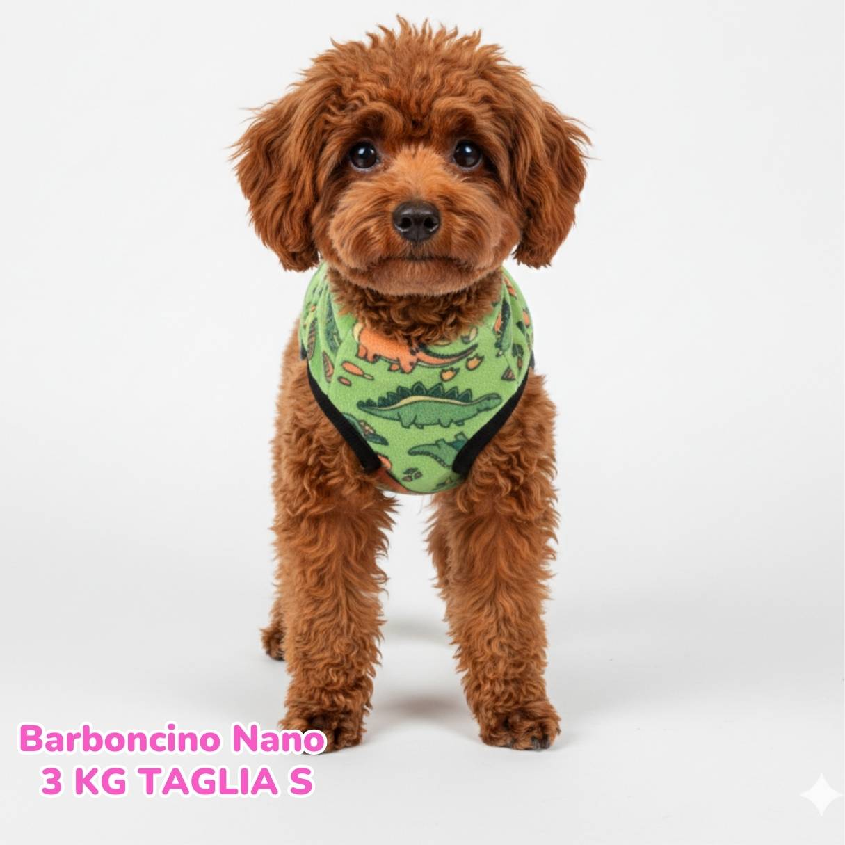 Pile Pelliccia Little Dino