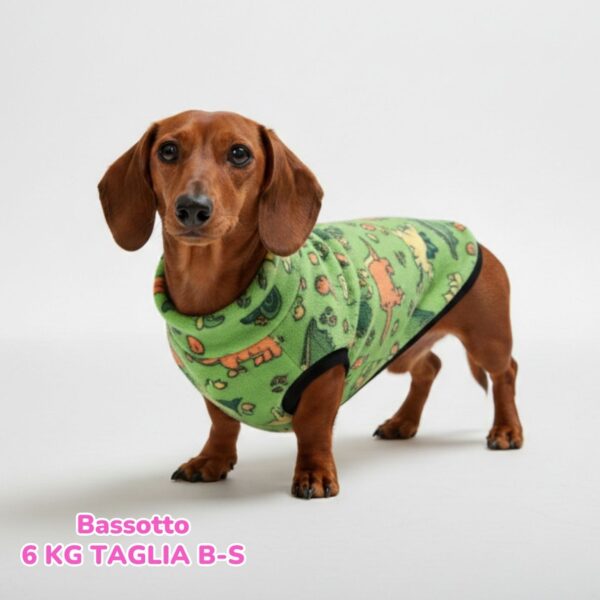 dorotea – 2026-01-17T134338.067