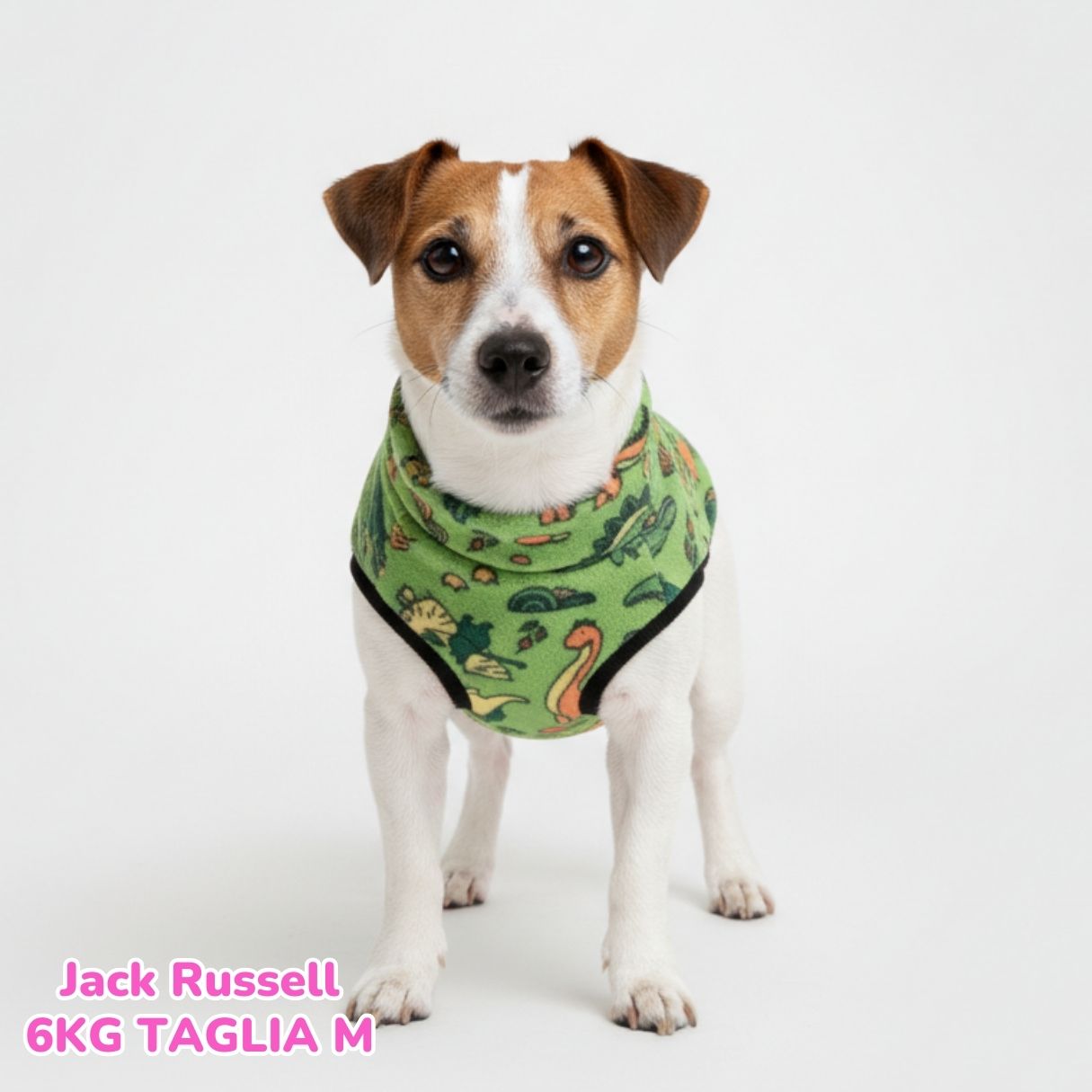 Pile Pelliccia Little Dino