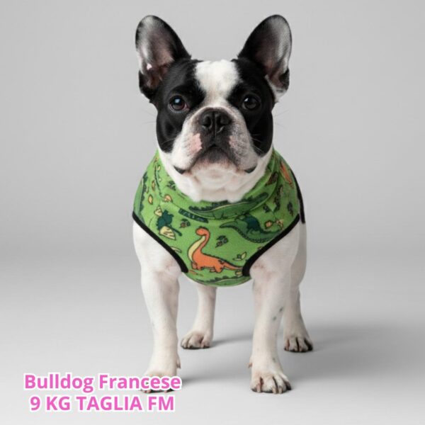 Pile Pelliccia Little Dino Pile Pelliccia Little Dino