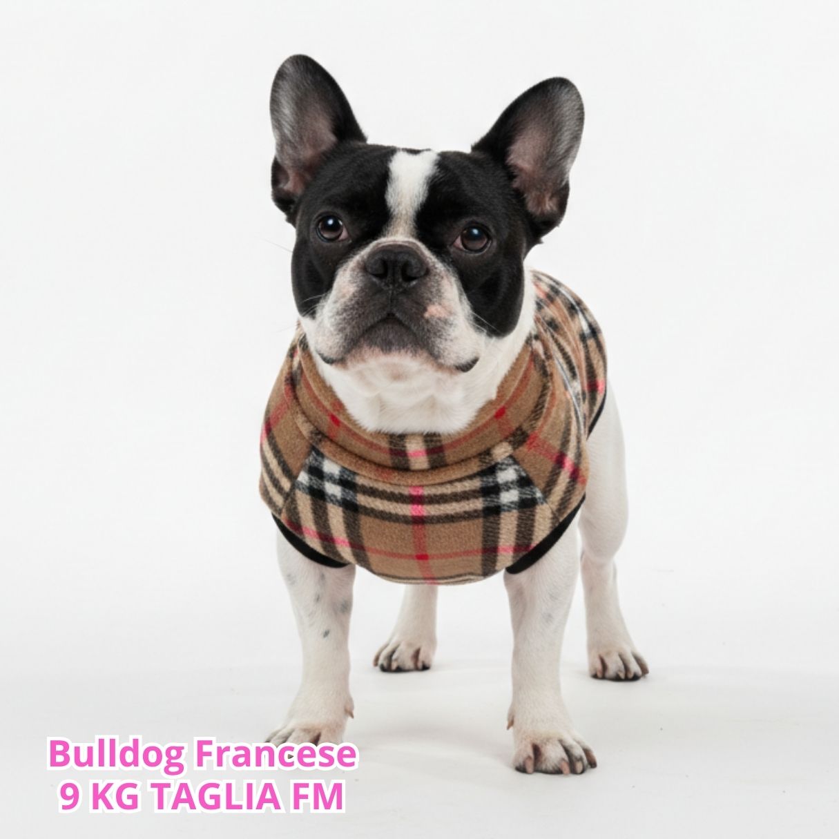 Pile Pelliccia Scozzese